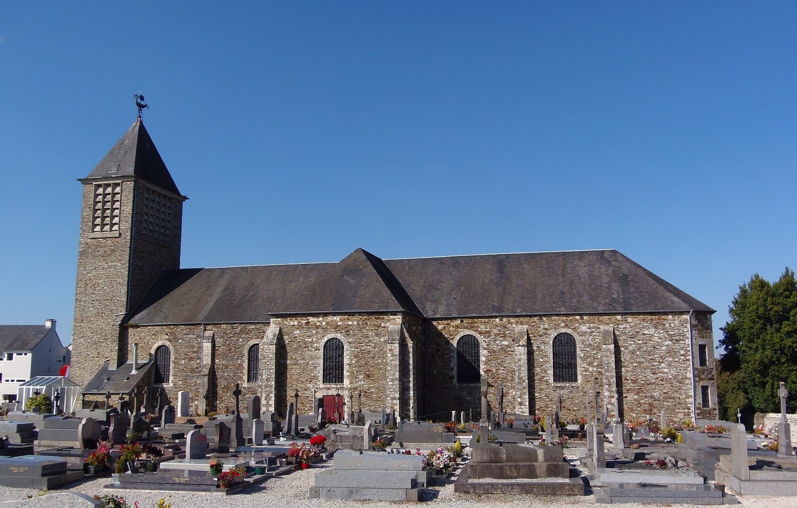 Photo de Agneaux