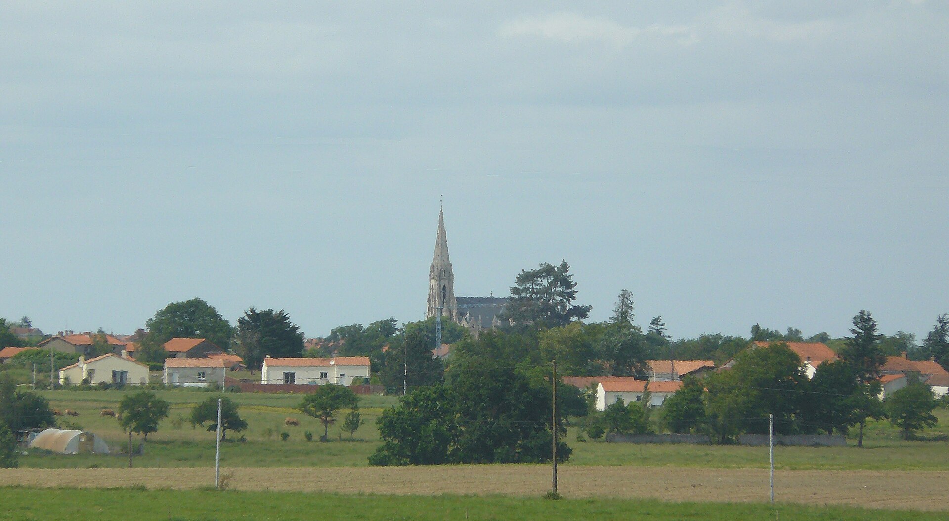 Photo de Aigrefeuille-sur-Maine