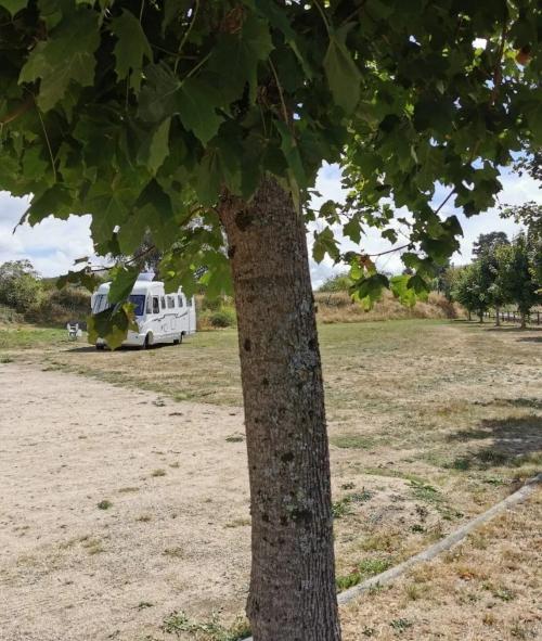 Photo de Albaret-le-Comtal
