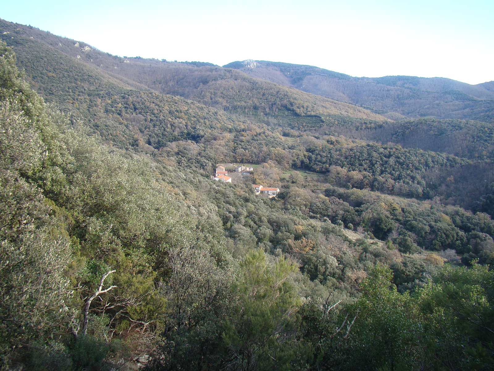 Photo de L'Albère