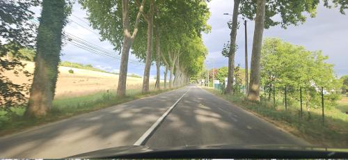 Photo de Algans