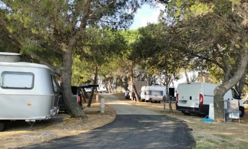 Photo de Alignan-du-Vent
