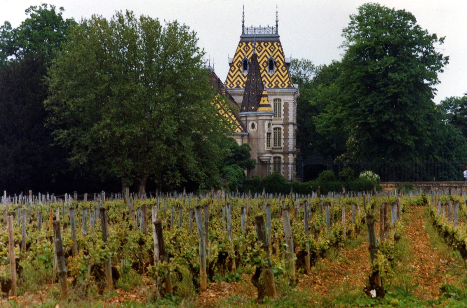 Photo de Aloxe-Corton