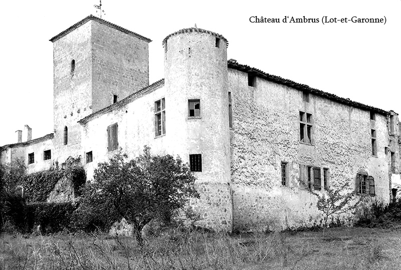 Photo de Ambrus