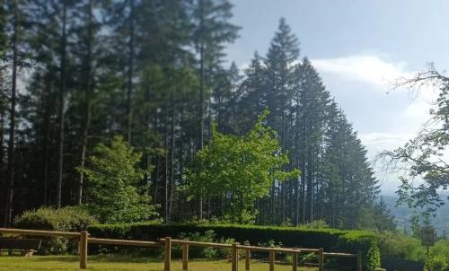 Photo de Anglure-sous-Dun