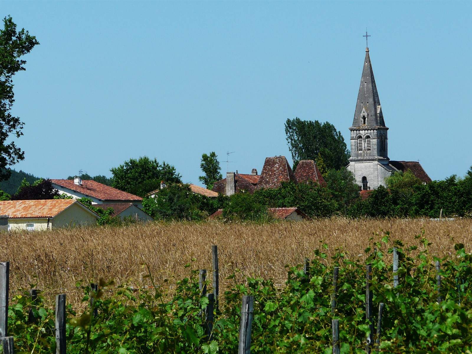 Photo de Antonne-et-Trigonant