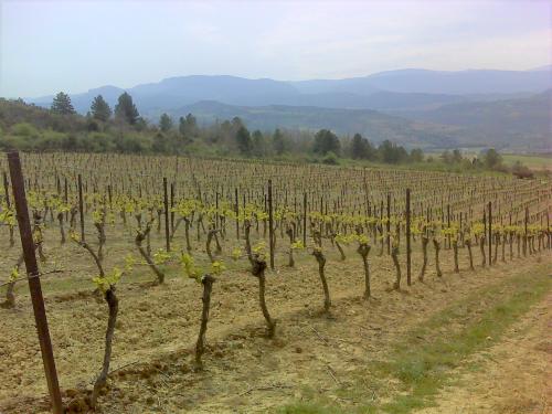 Photo de Antugnac