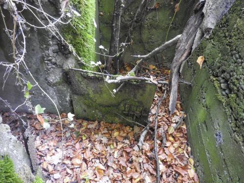Photo de Anzeling