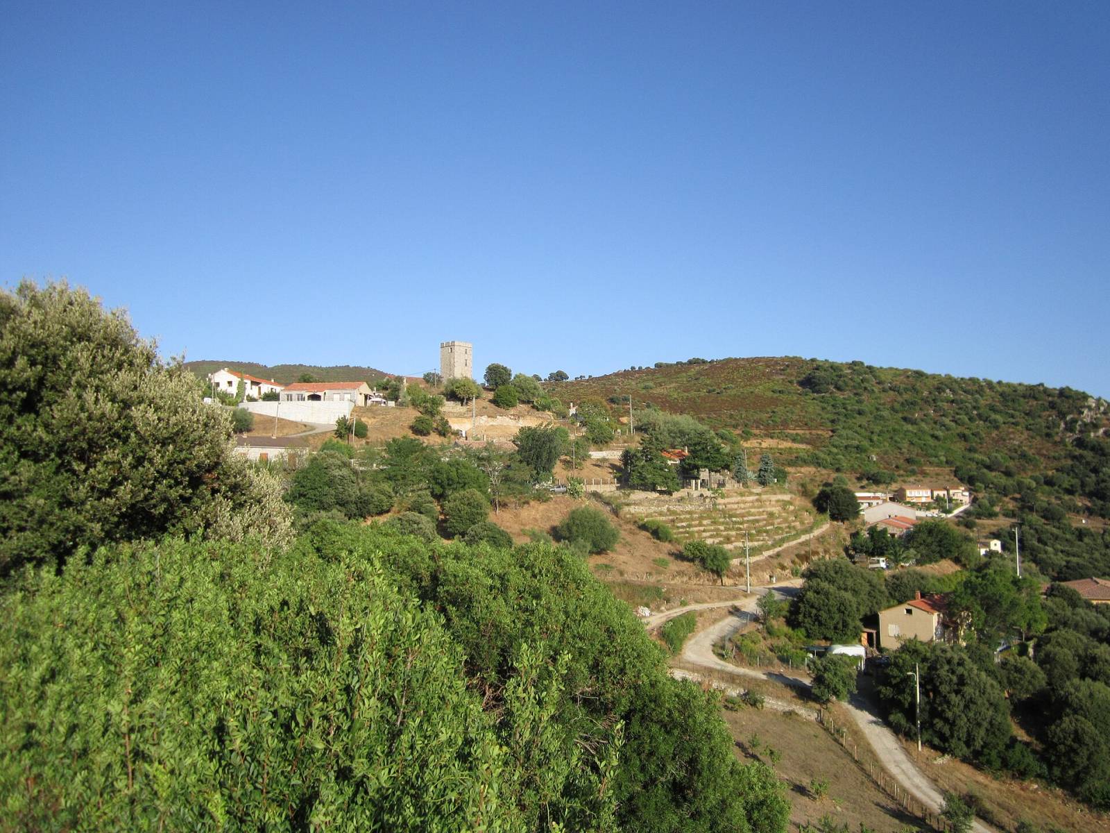 Photo de Arbellara