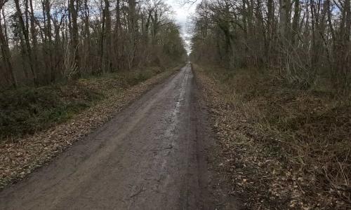 Photo de Aunou-le-Faucon