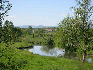 Photo de Autrechêne