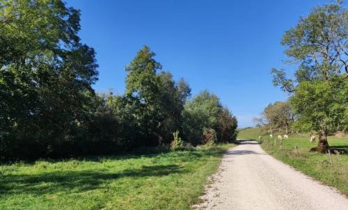 Photo de Autrécourt-sur-Aire