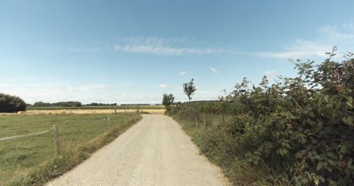 Photo de Auzouville-Auberbosc