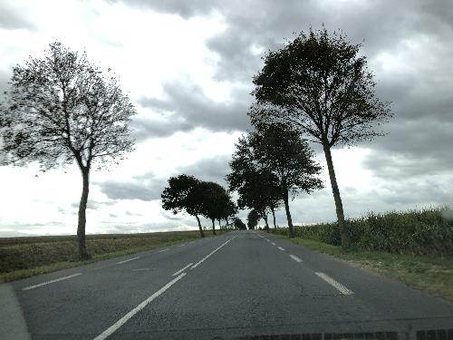 Photo de Avondance
