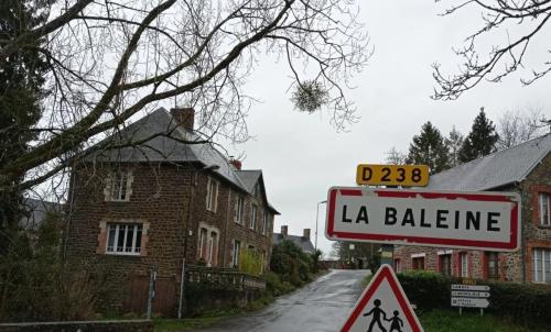 Photo de La Baleine