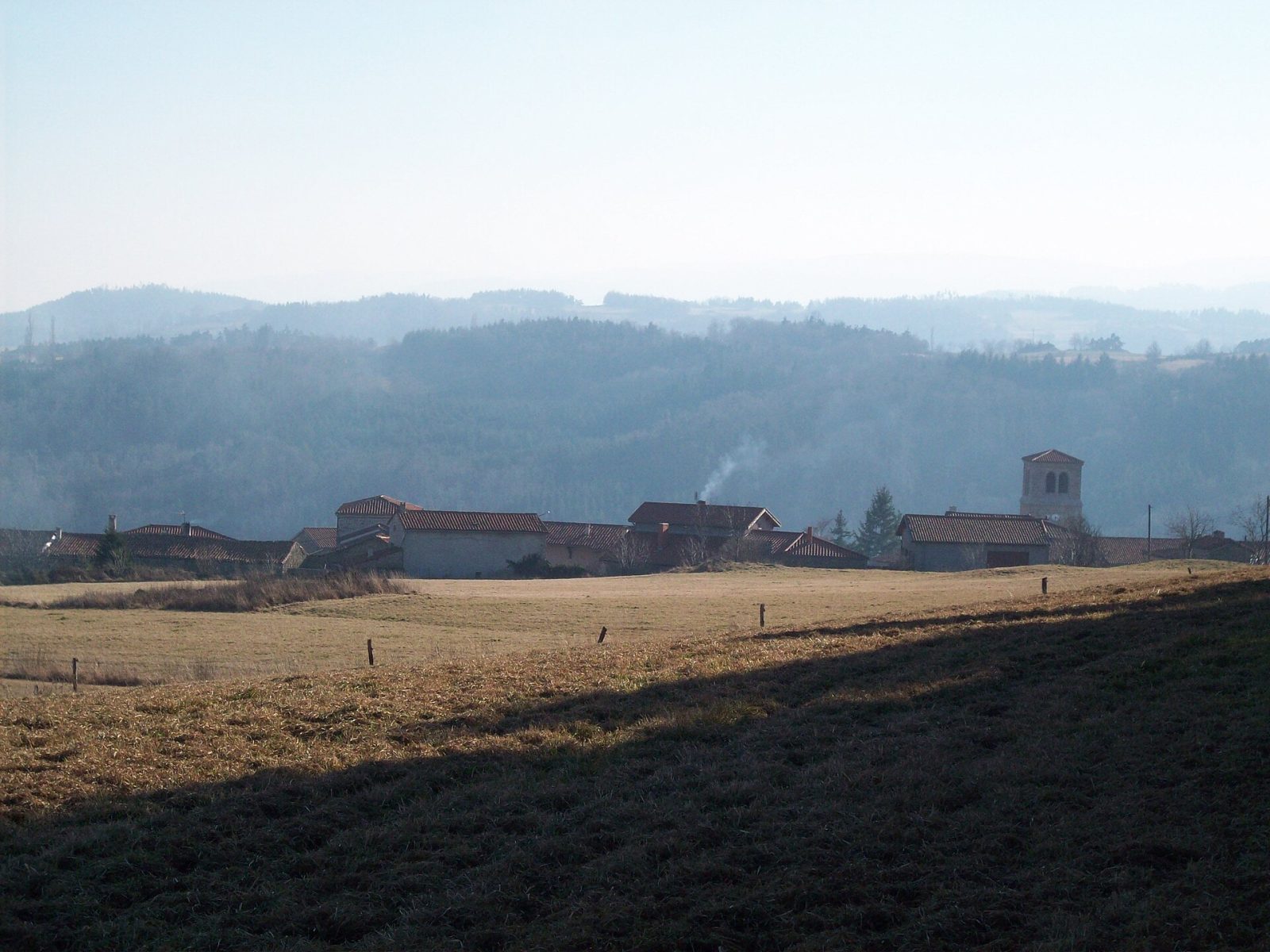 Photo de Bard