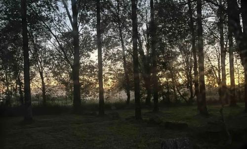 Photo de Barro