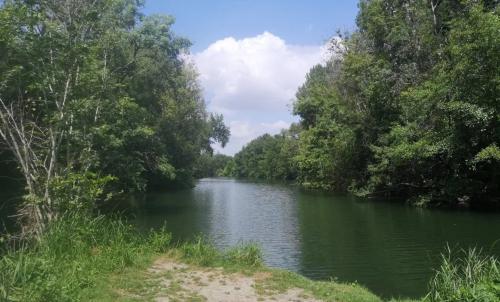 Photo de Bazac
