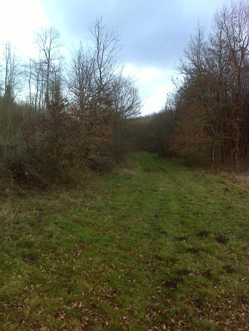 Photo de Beauficel-en-Lyons