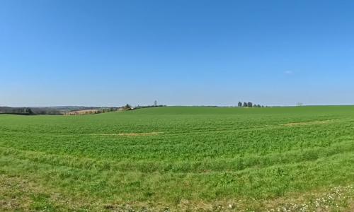 Photo de Bélesta-en-Lauragais