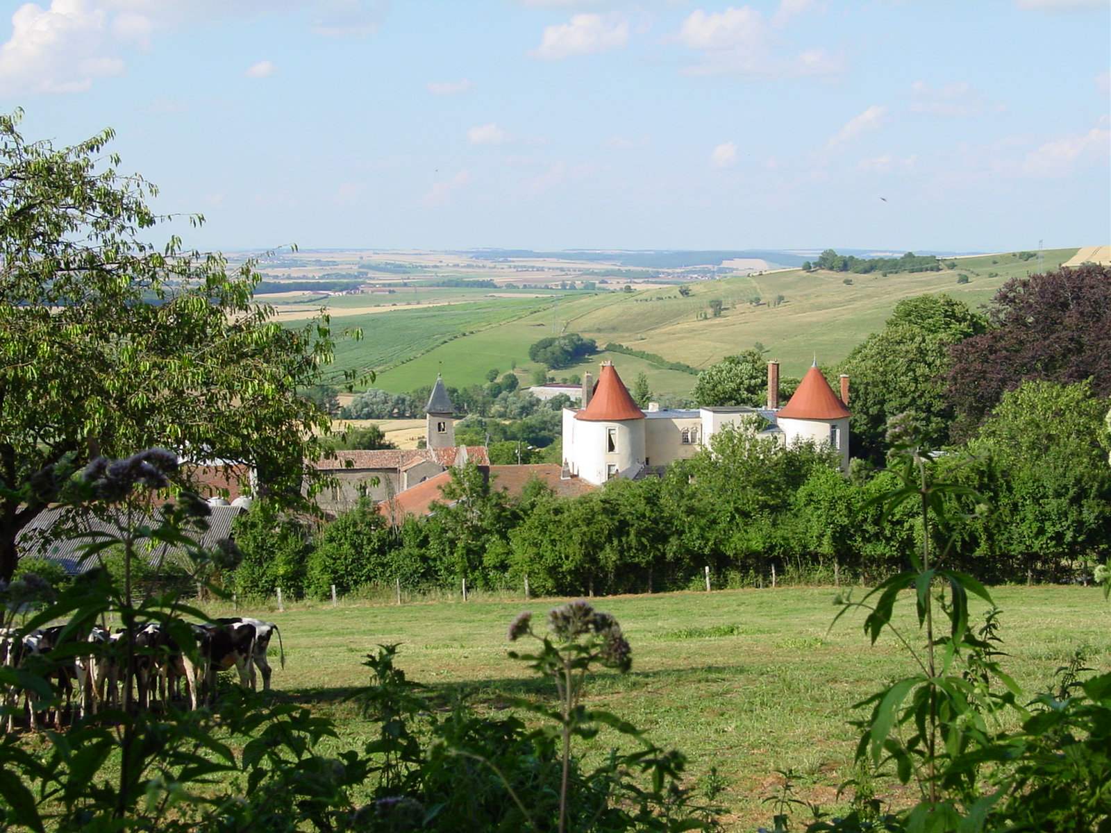 Photo de Belleau