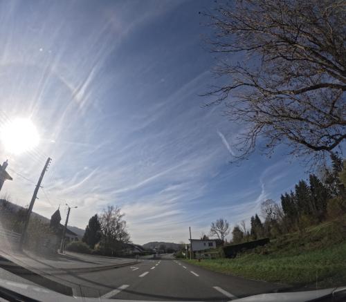 Photo de Berche