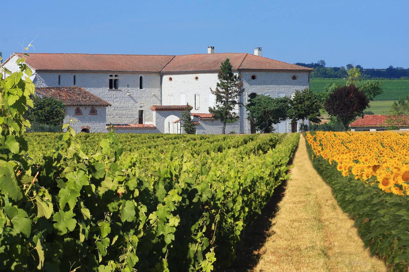 Photo de Bernac