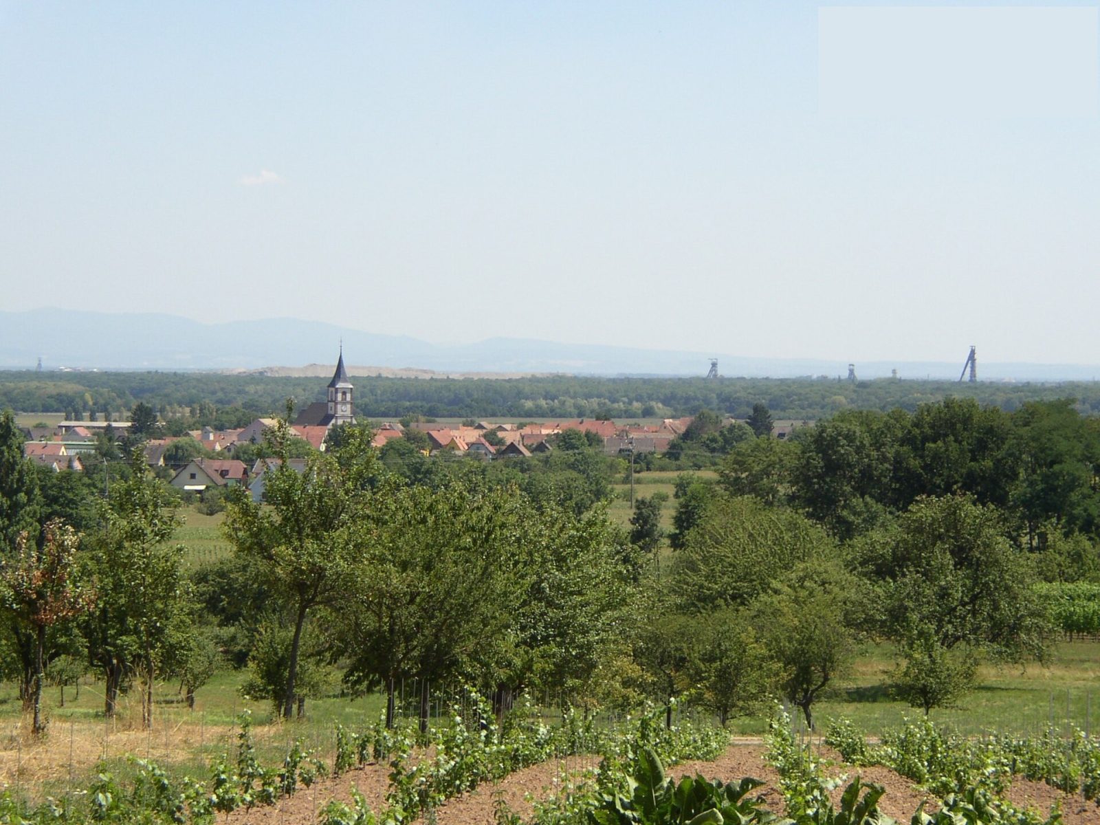 Photo de Berrwiller