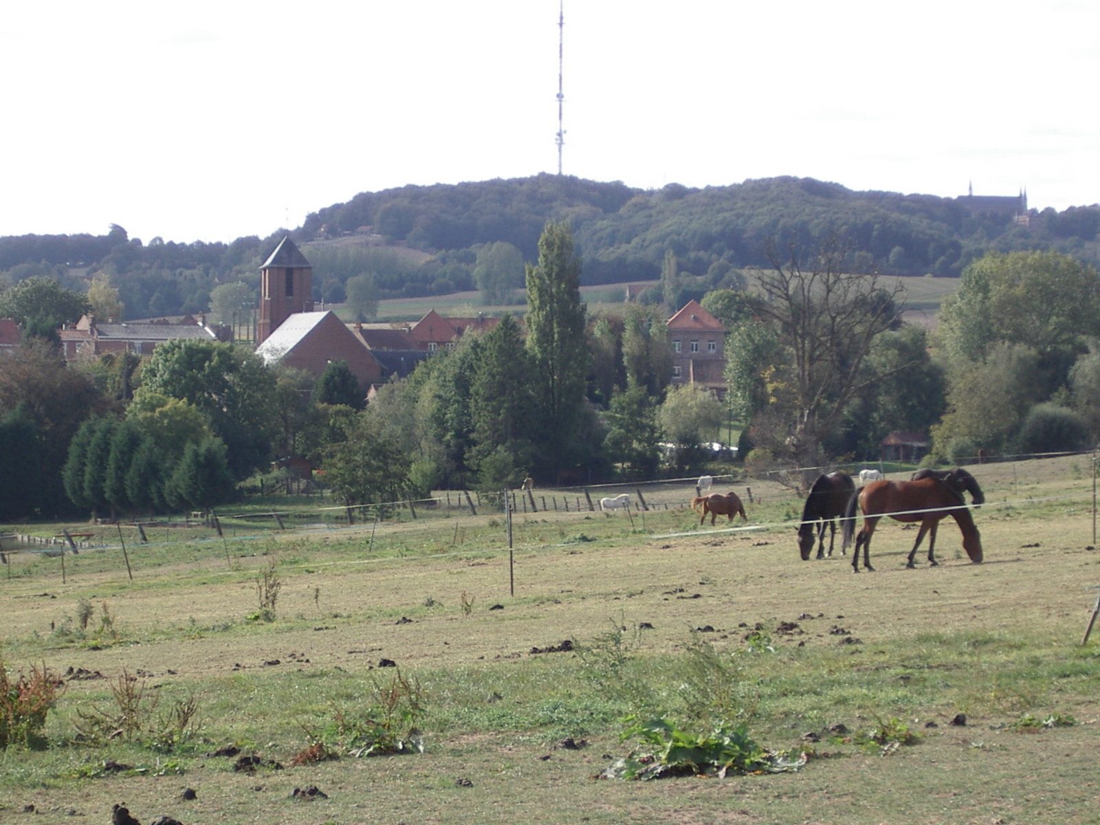 Photo de Berthen