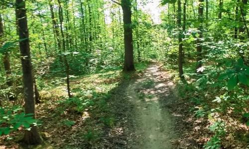 Photo de Béthemont-la-Forêt