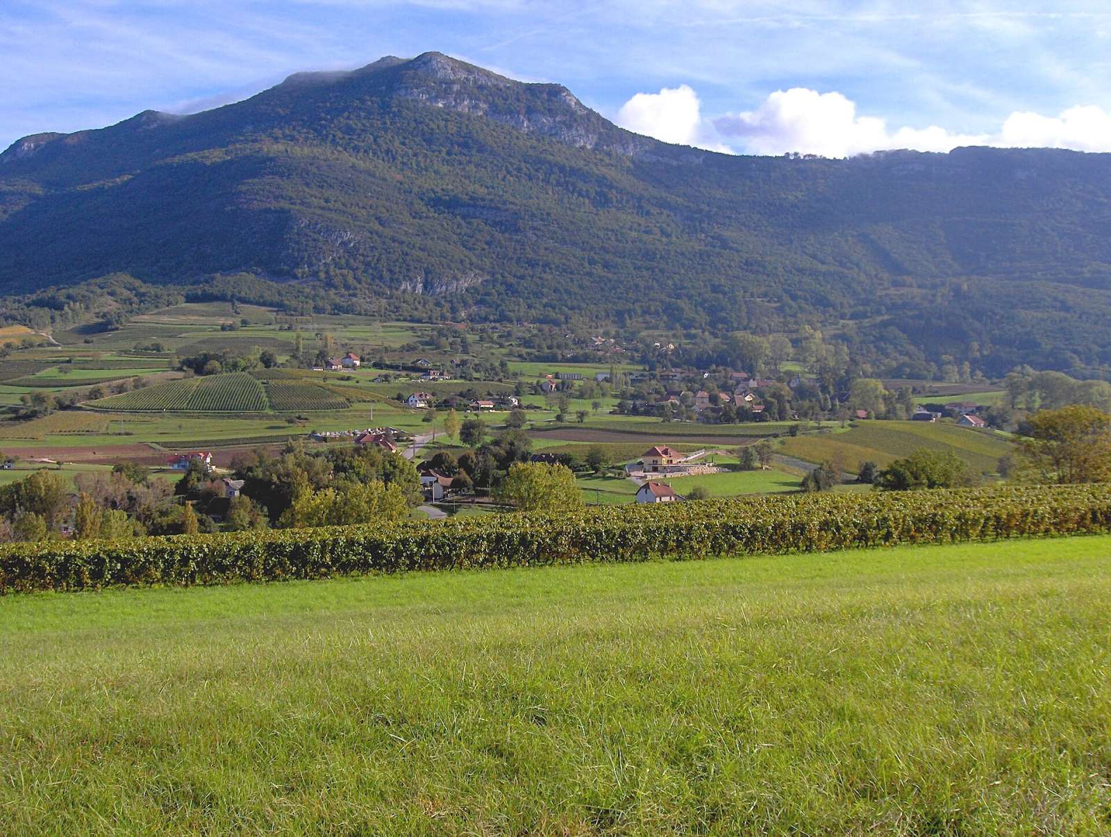 Photo de Billième