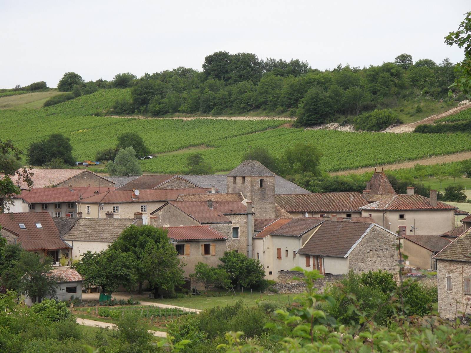 Photo de Bissy-la-Mâconnaise