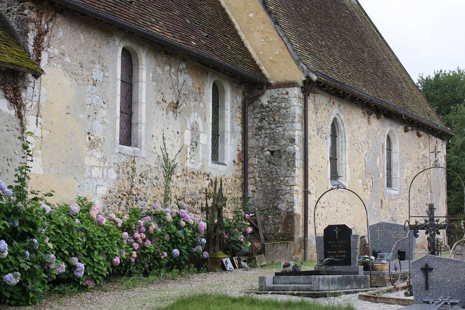 Photo de Bizou