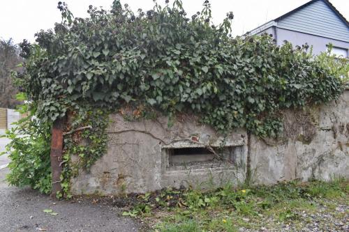 Photo de Blotzheim