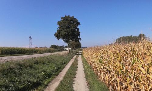 Photo de Bœsenbiesen