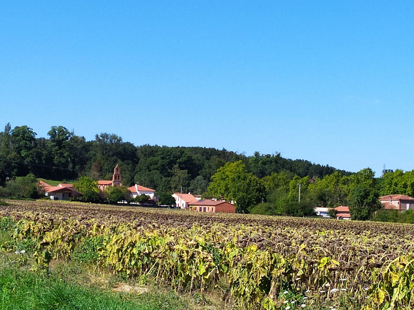 Photo de Bois-de-la-Pierre
