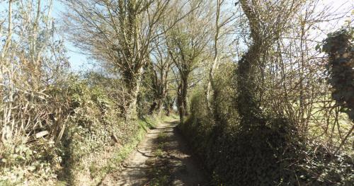 Photo de Boissey