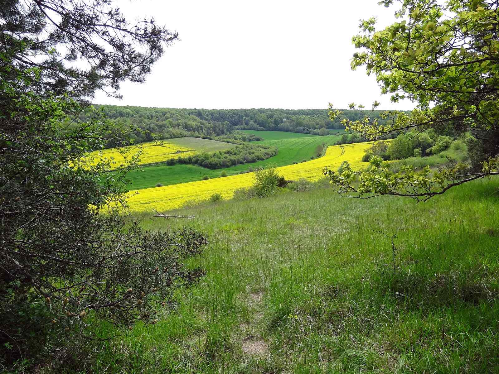 Photo de Boncourt