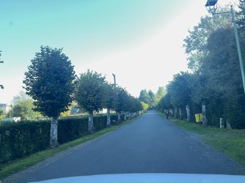 Photo de Bonnebosq