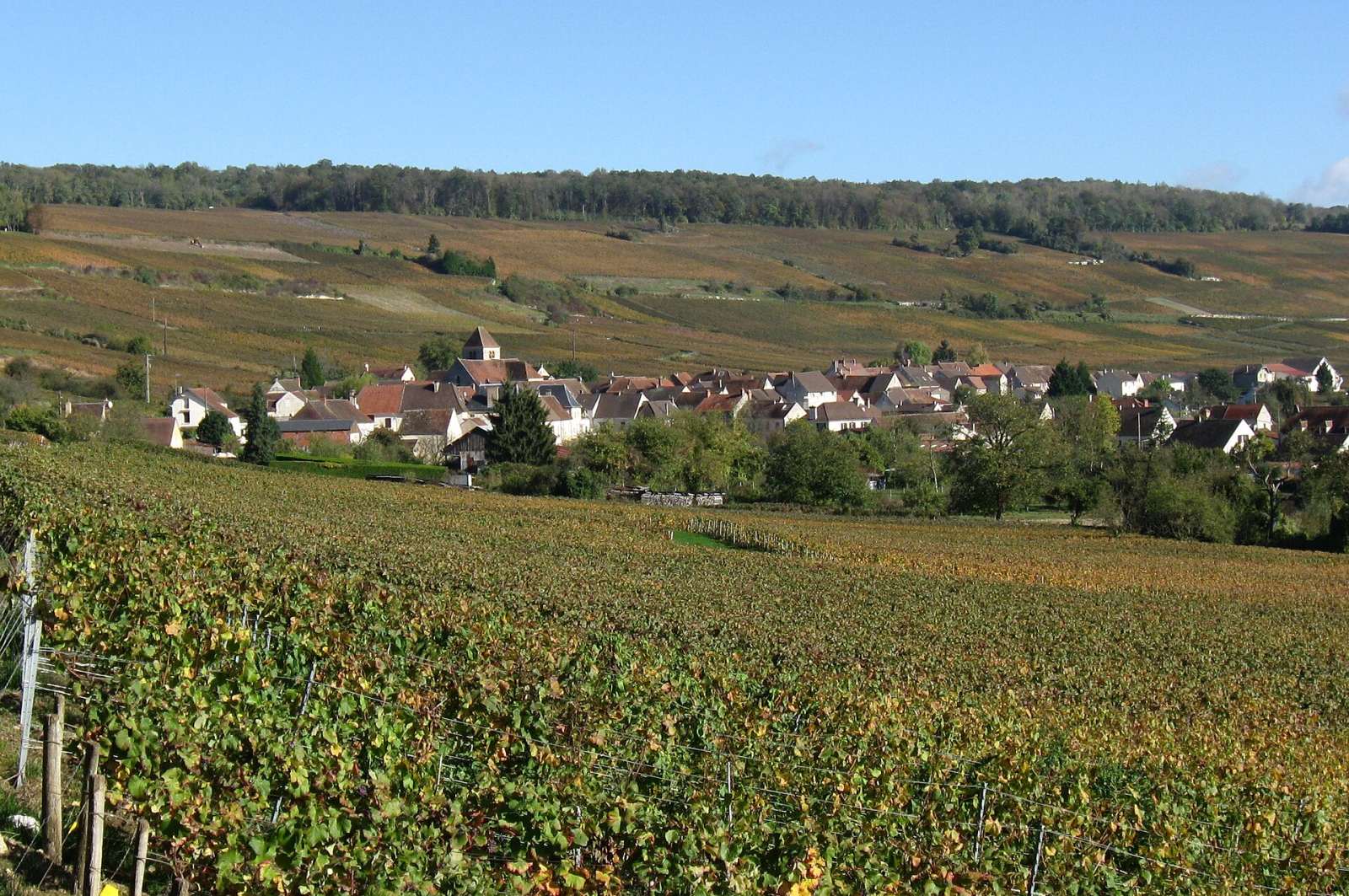 Photo de Bonneil