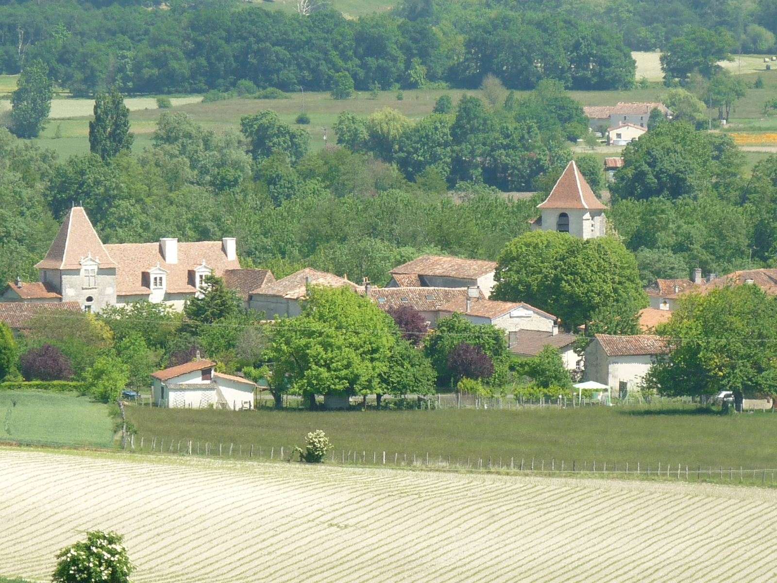 Photo de Bonnes