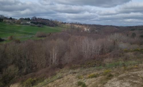 Photo de Boresse-et-Martron