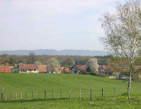 Photo de Botans