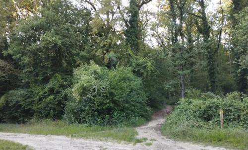 Photo de Bouffignereux