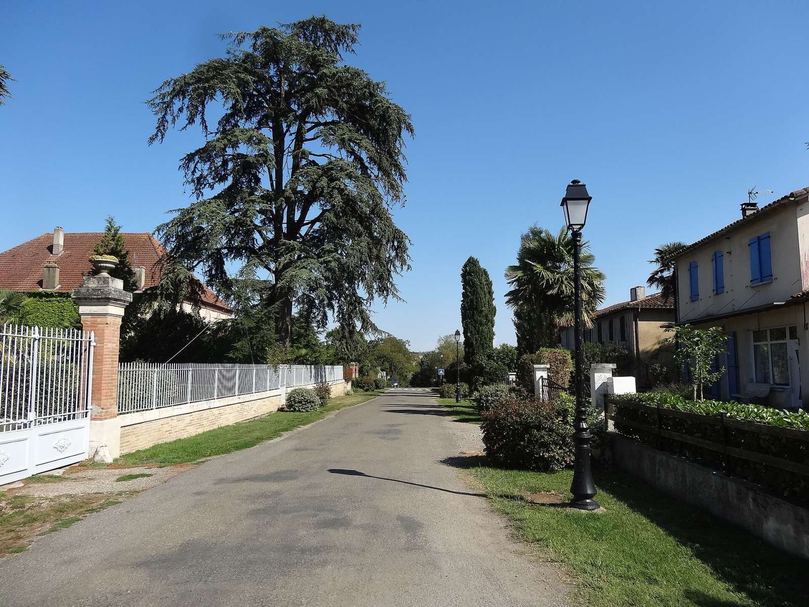Photo de Boulaur