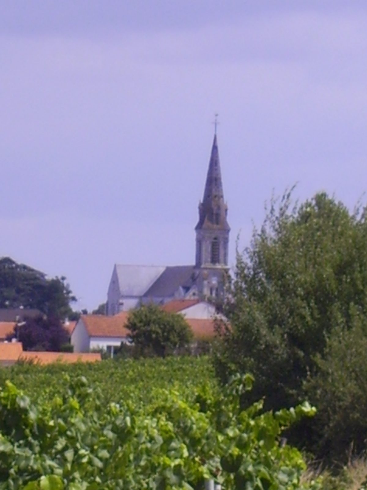 Photo de Bouzillé