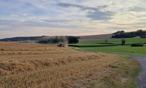 Photo de Bovée-sur-Barboure
