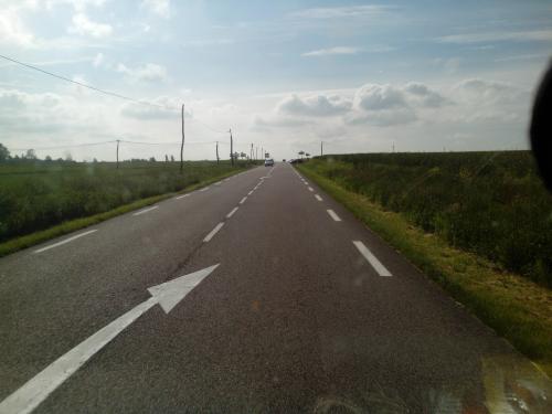 Photo de Bracquetuit
