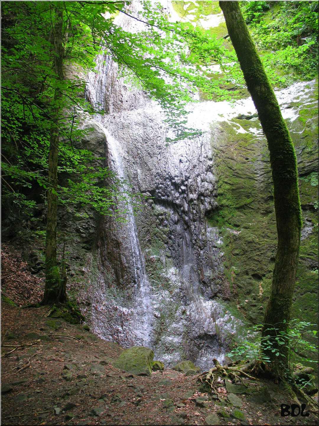 Photo de Brenthonne