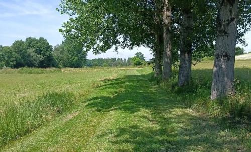 Photo de Brie-sous-Barbezieux